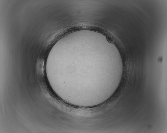 X0000116060024200912111538