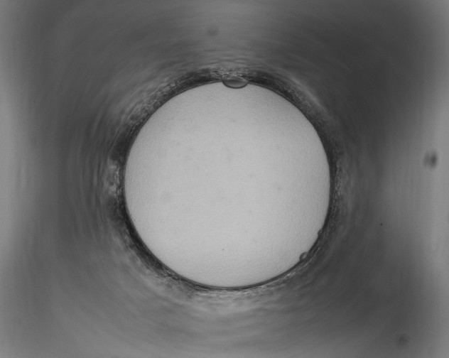 X0000116060025200912111538