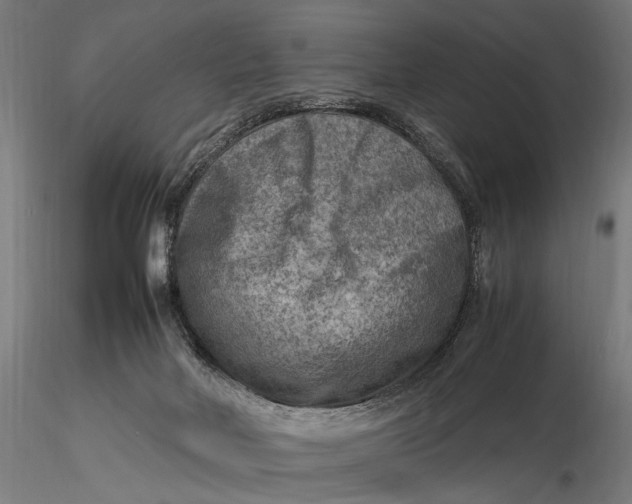X0000116060026200912111538