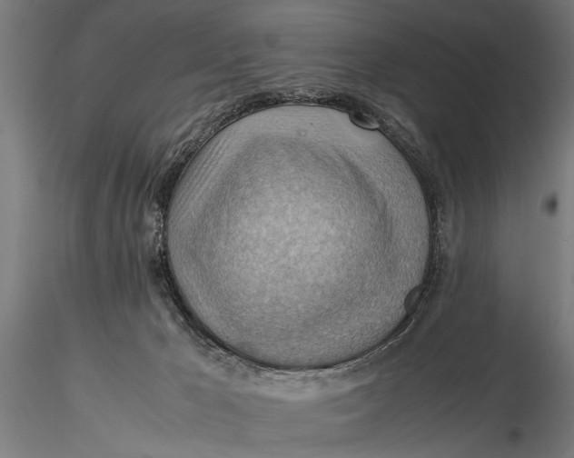 X0000116060029200912111538