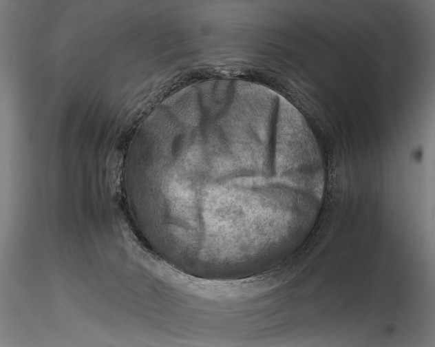 X0000116060030200912111538