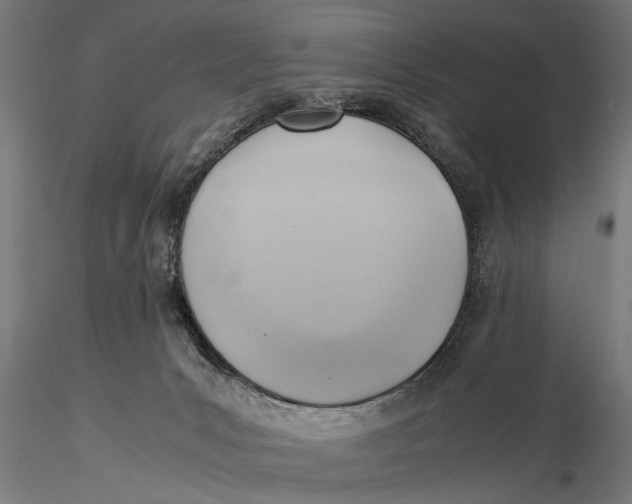 X0000116060031200912111538