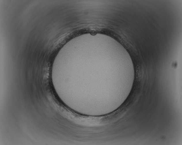 X0000116060032200912111538