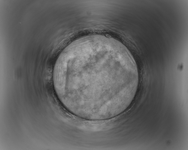 X0000116060033200912111538