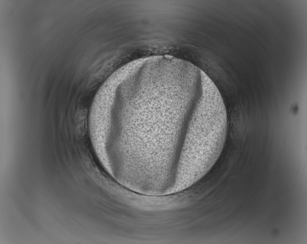X0000116060034200912111538