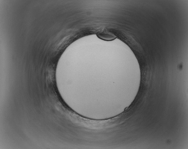 X0000116060035200912111538