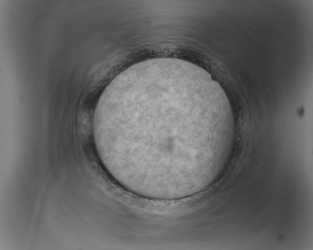 X0000116060037200912111538