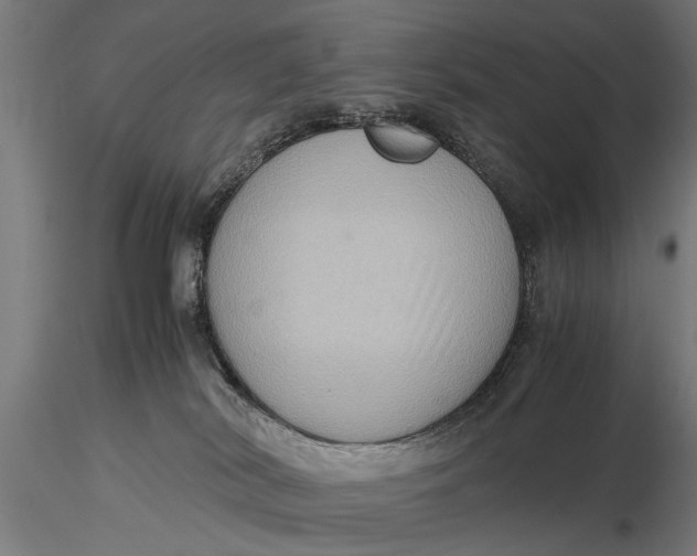 X0000116060038200912111538