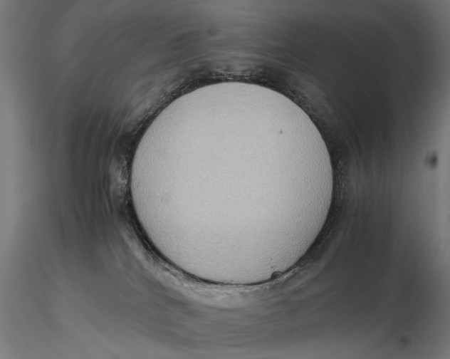 X0000116060040200912111538