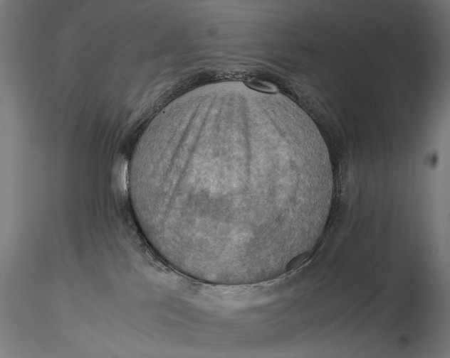X0000116060041200912111538