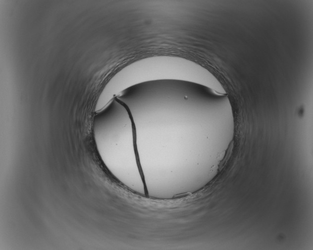 X0000116060043200912111538