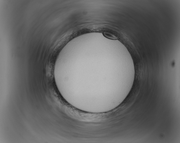 X0000116060044200912111538