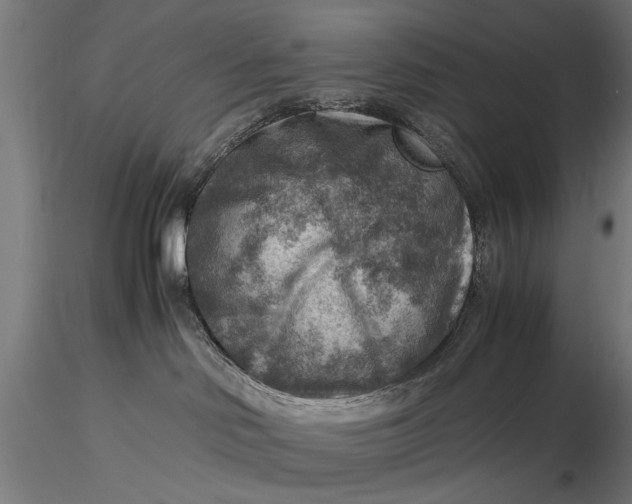 X0000116060046200912111538