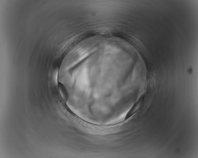 X0000116060047200912111538