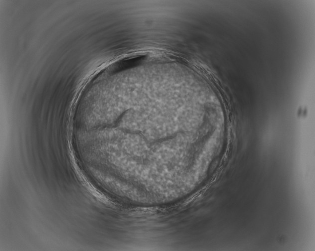 X0000116060049200912111537