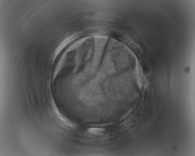 X0000116060051200912111537