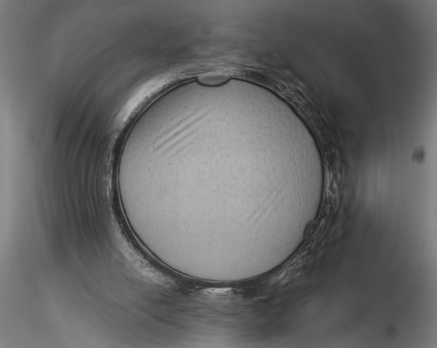 X0000116060054200912111538