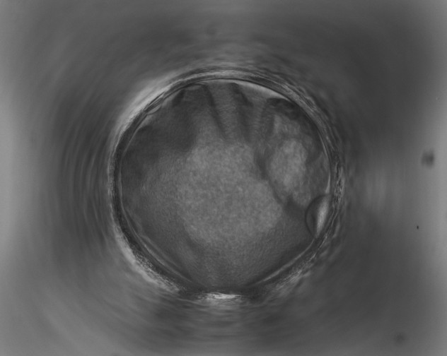X0000116060055200912111538