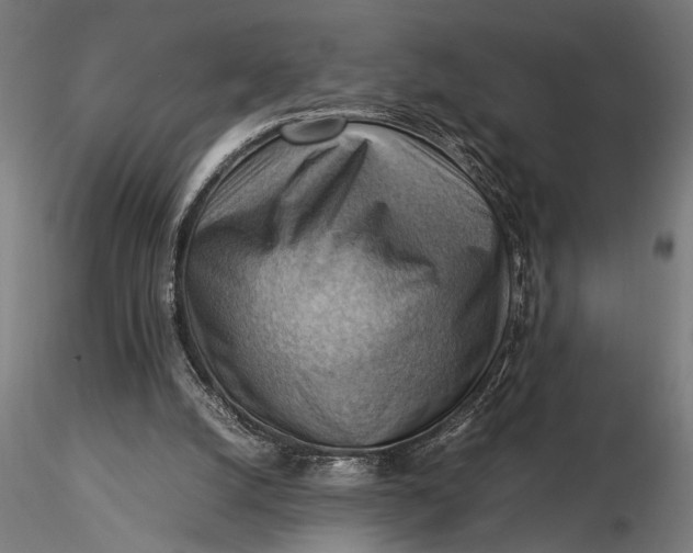 X0000116060056200912111538