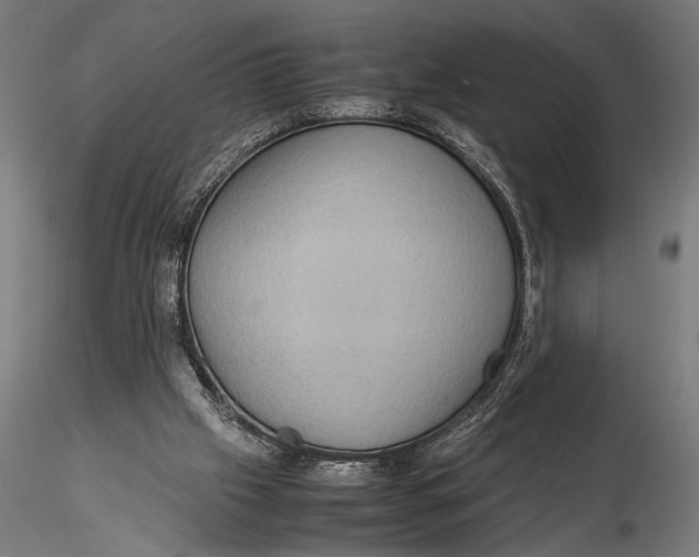 X0000116060057200912111538