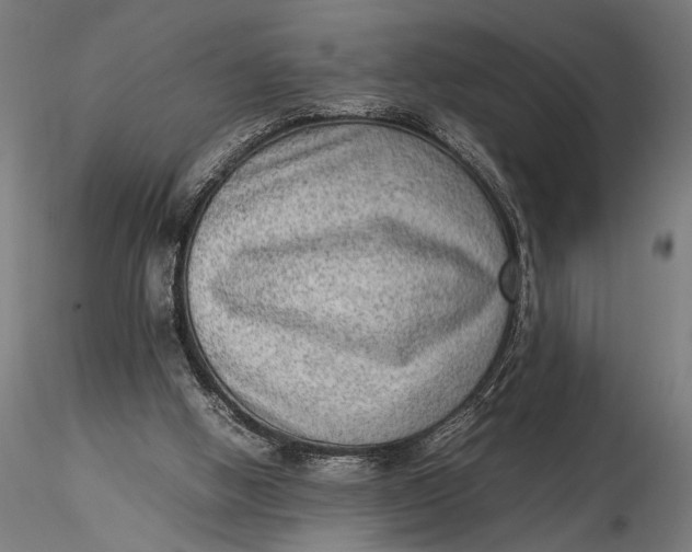 X0000116060058200912111538