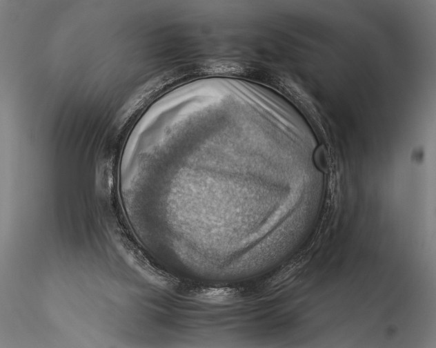 X0000116060059200912111538