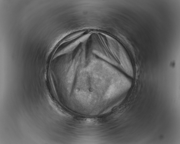 X0000116060060200912111538