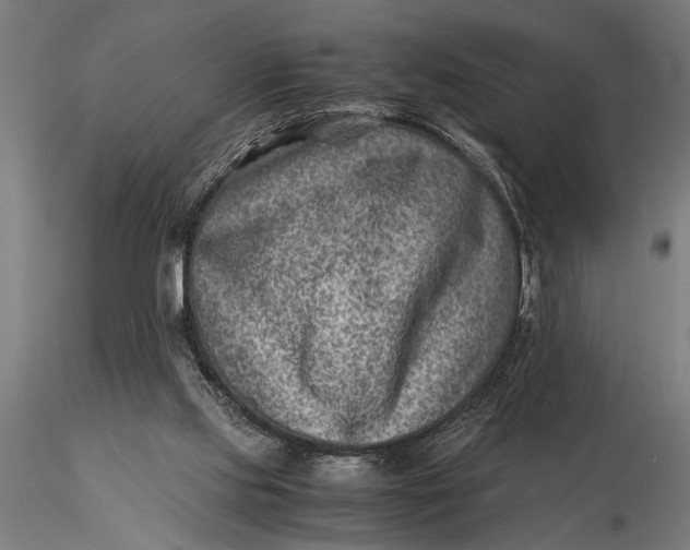 X0000116060061200912111538
