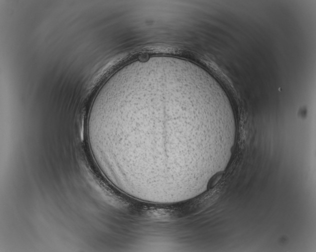 X0000116060062200912111538
