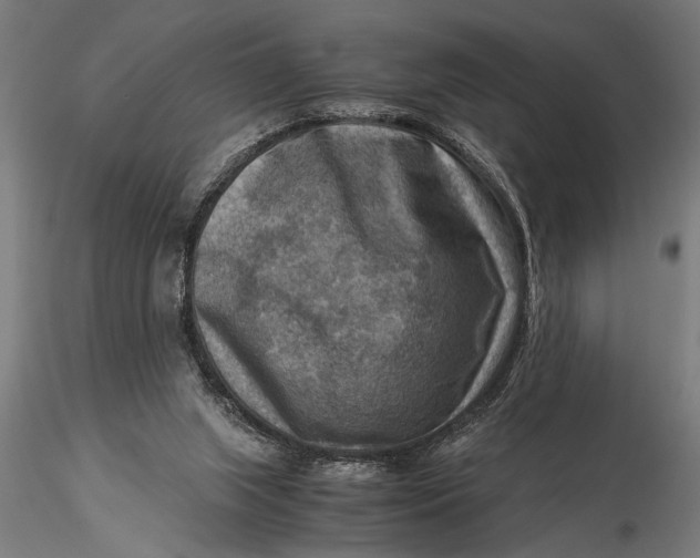 X0000116060063200912111538