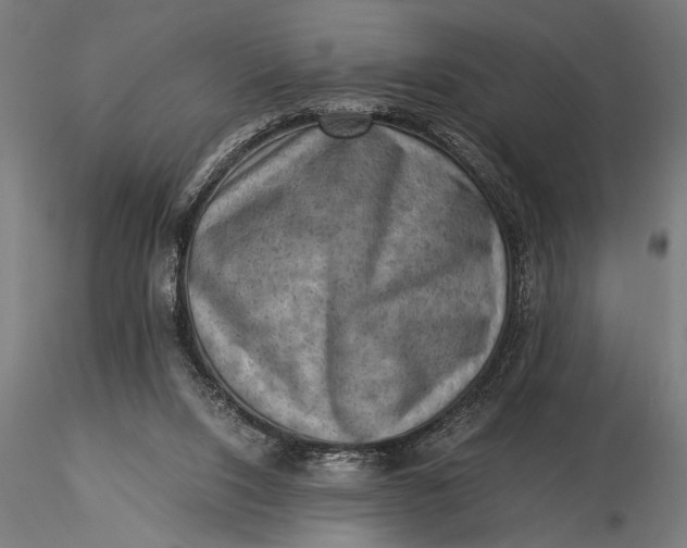 X0000116060064200912111538