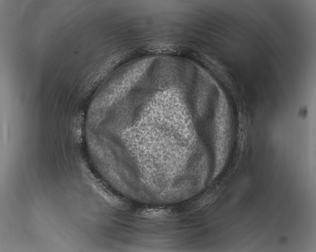 X0000116060065200912111538
