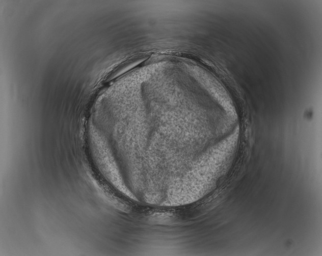 X0000116060066200912111538