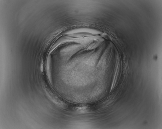 X0000116060068200912111538