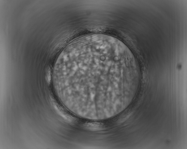X0000116060069200912111538