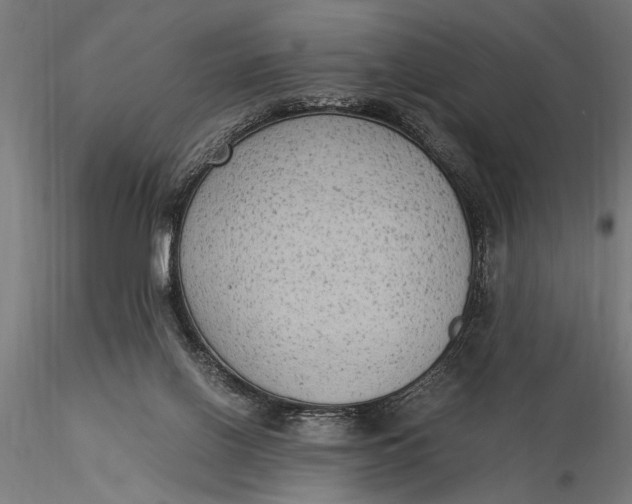 X0000116060070200912111538