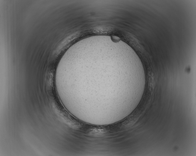 X0000116060071200912111538