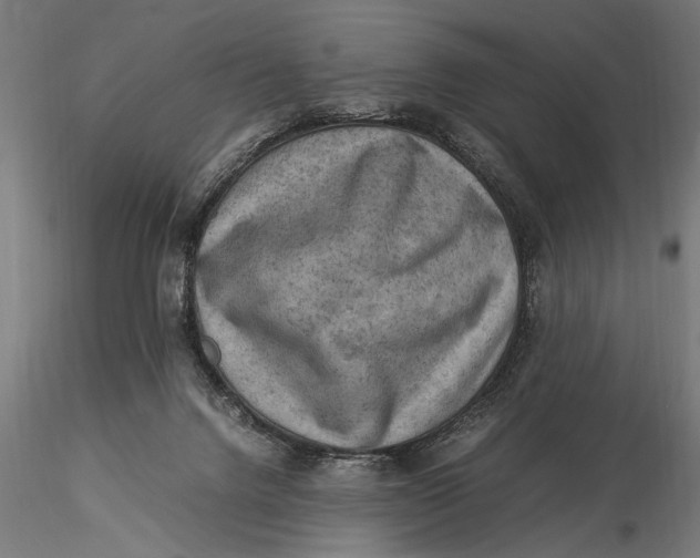 X0000116060072200912111538