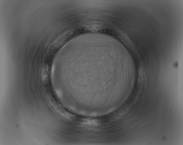 X0000116060073200912111538