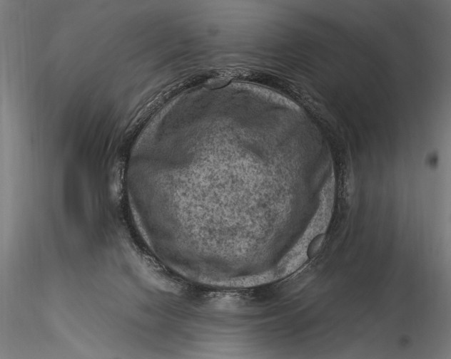 X0000116060074200912111538