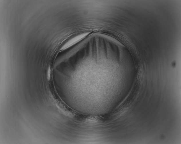 X0000116060076200912111538