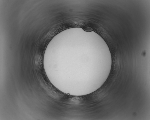 X0000116060079200912111538