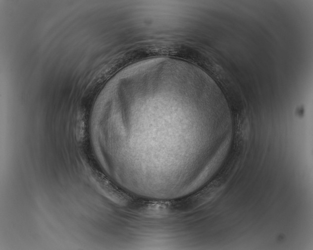 X0000116060080200912111538