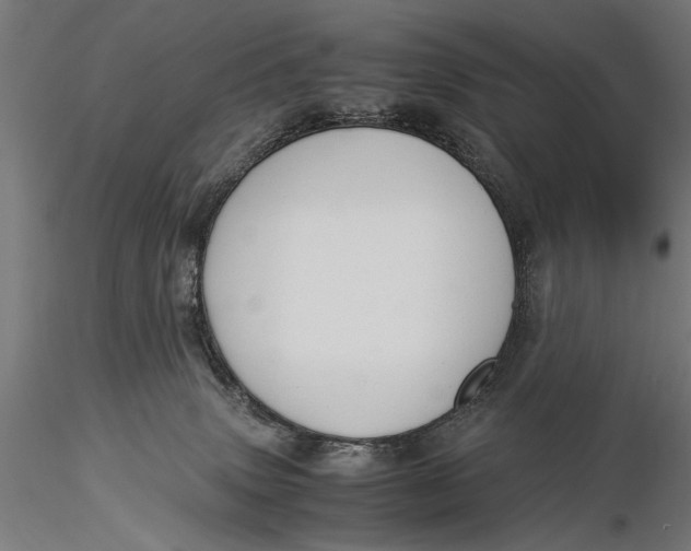 X0000116060083200912111538