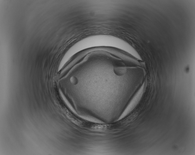 X0000116060084200912111538