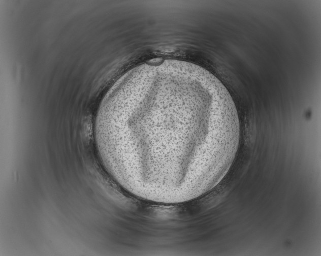 X0000116060085200912111538