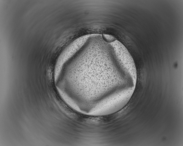 X0000116060086200912111538