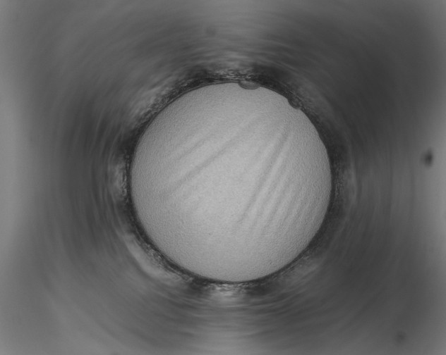 X0000116060088200912111538