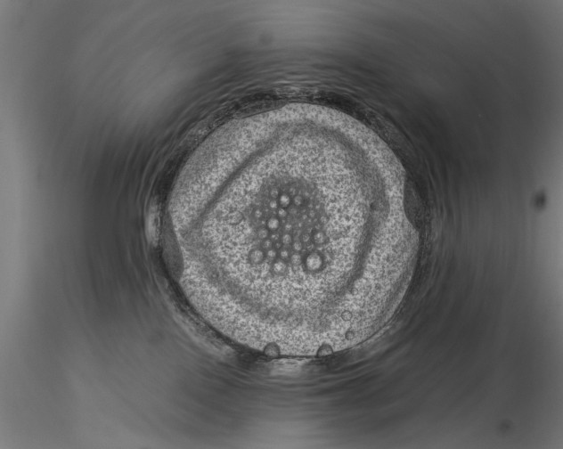 X0000116060090200912111538