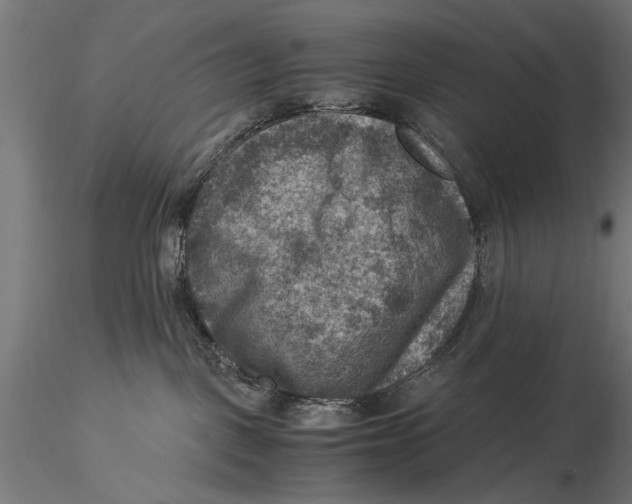 X0000116060093200912111538